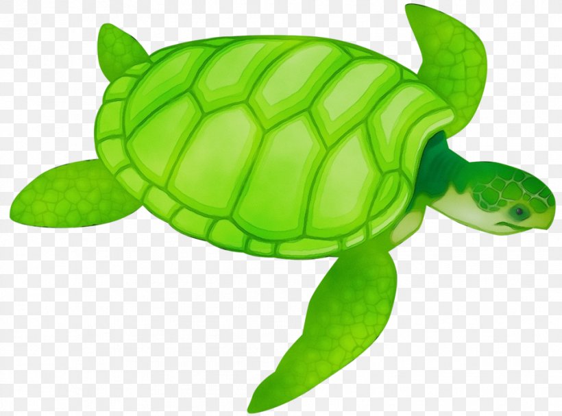 Sea Turtle Green Green Sea Turtle Turtle Tortoise, PNG, 958x710px, Watercolor, Animal Figure, Green, Green Sea Turtle, Kemps Ridley Sea Turtle Download Free