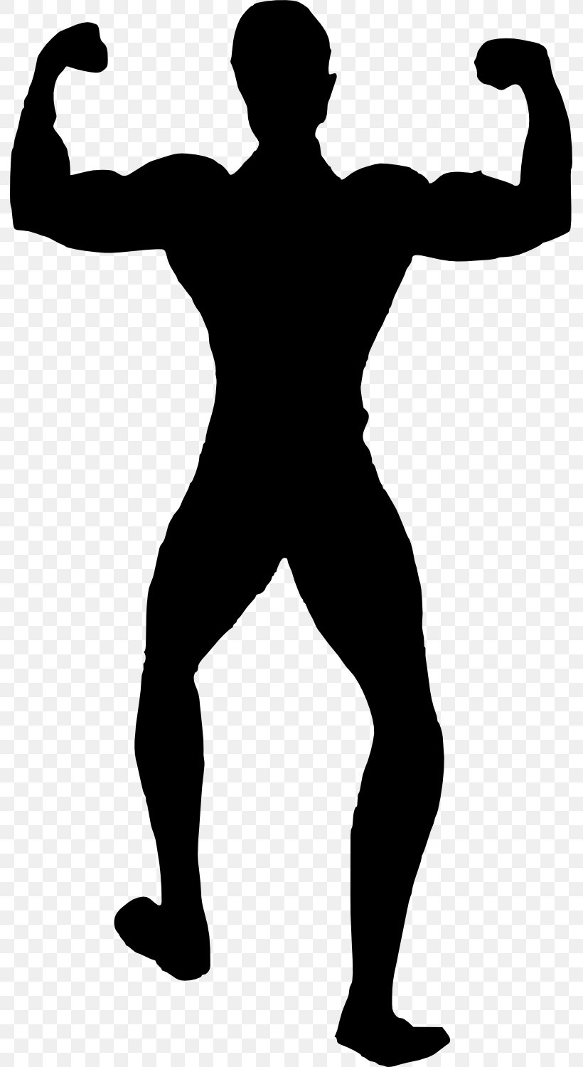Silhouette Bodybuilding Female Physical Fitness, PNG, 791x1500px, Silhouette, Arm, Black, Black And White, Bodybuilding Download Free