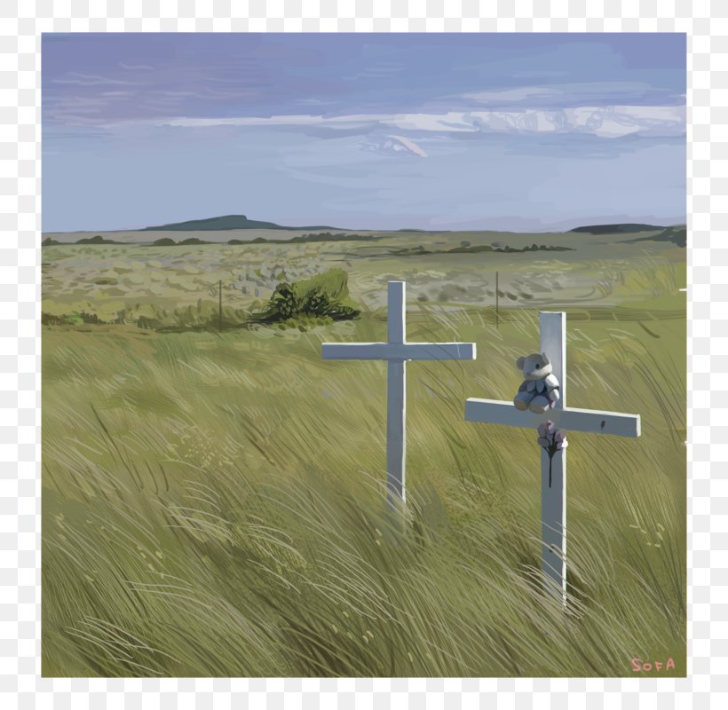 DeviantArt Crucifixion Cross Grassland, PNG, 800x800px, Deviantart, Art, Art Museum, Artist, Christian Cross Download Free