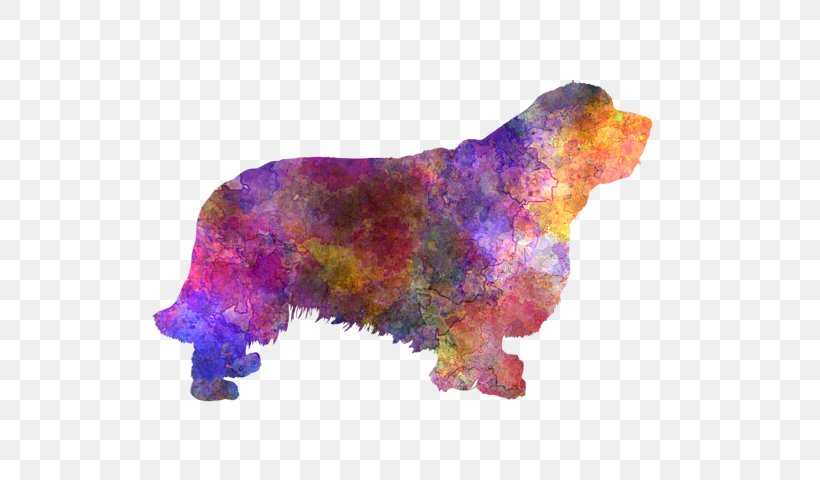 Dog Breed Clumber Spaniel Bear Snout, PNG, 600x480px, Dog Breed, Bear, Breed, Carnivoran, Ceramic Download Free