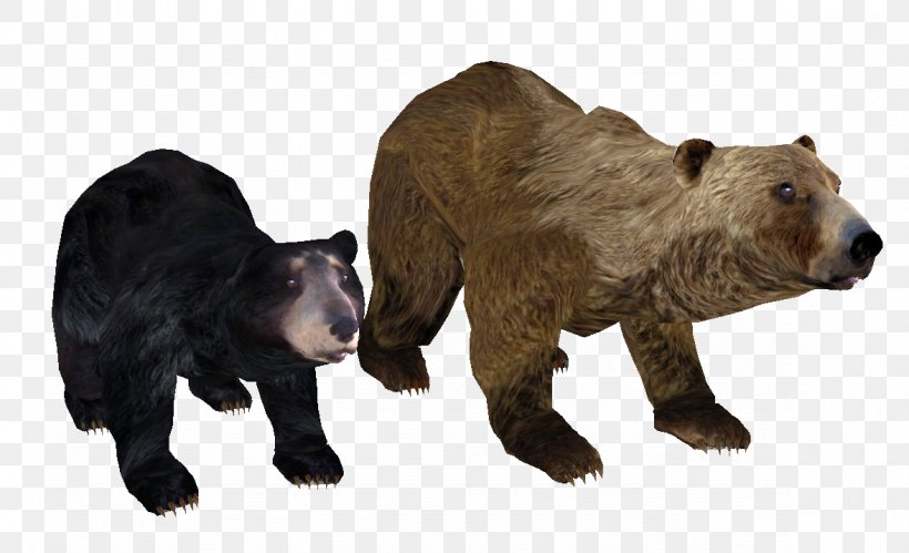 Grizzly Bear Brown Bear American Black Bear Shivering Isles, PNG, 1177x717px, Grizzly Bear, American Black Bear, Bear, Brown Bear, Carnivoran Download Free
