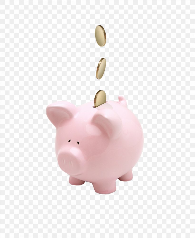 Saving Money Budget Piggy Bank Coin, PNG, 1312x1600px, Saving, Bank, Budget, Coin, Cost Download Free