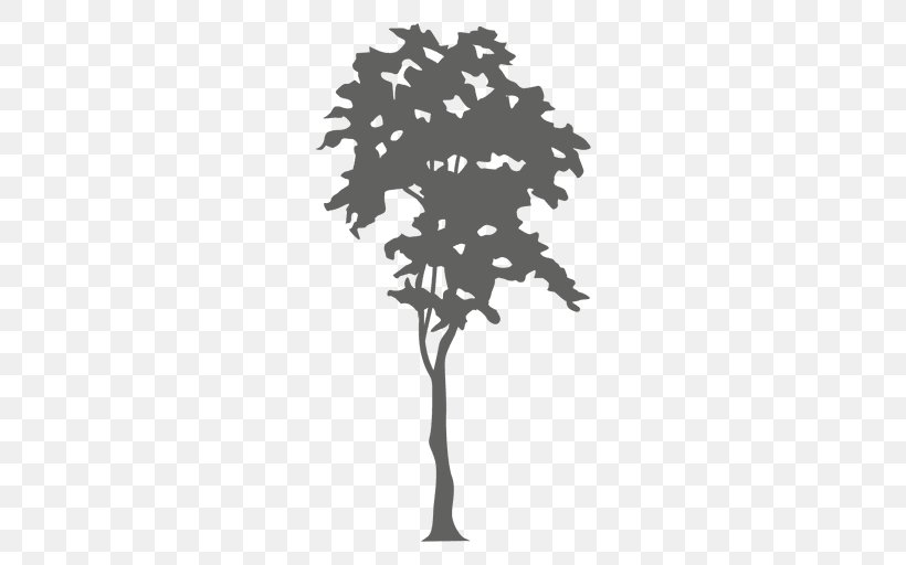 Tree Silhouette The Cardiologist's Daughter, PNG, 512x512px, Tree, Black And White, Branch, Conifer, Flowering Plant Download Free