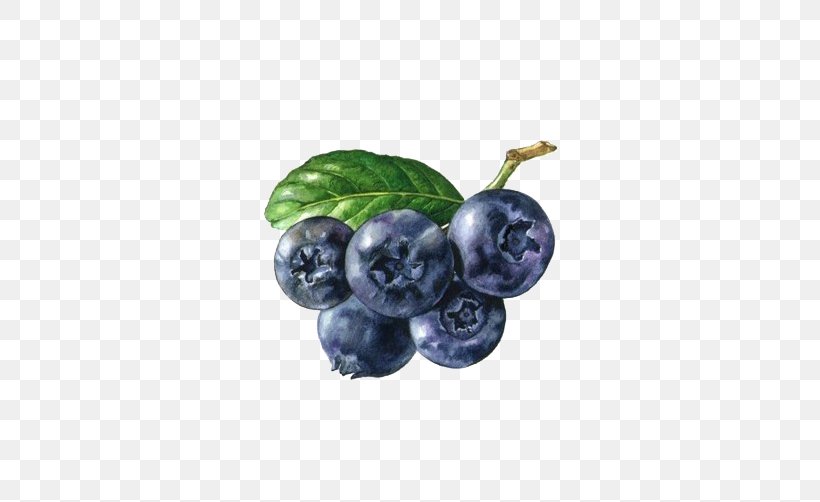 Berry Fruit Auglis, PNG, 512x502px, Berry, Auglis, Bilberry, Blueberry, Blueberry Tea Download Free