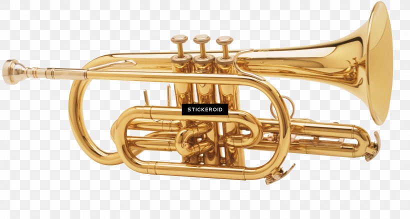 Brass Instruments, PNG, 3190x1706px, Trumpet, Alto Horn, Blog, Brass, Brass Instrument Download Free