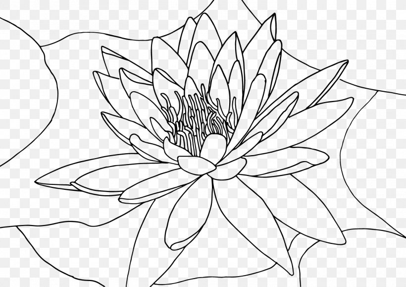 Drawing Line Art Painting Coloring Book Illustration, PNG, 1500x1060px, Drawing, Aquatic Plant, Art, Artist, Black Download Free