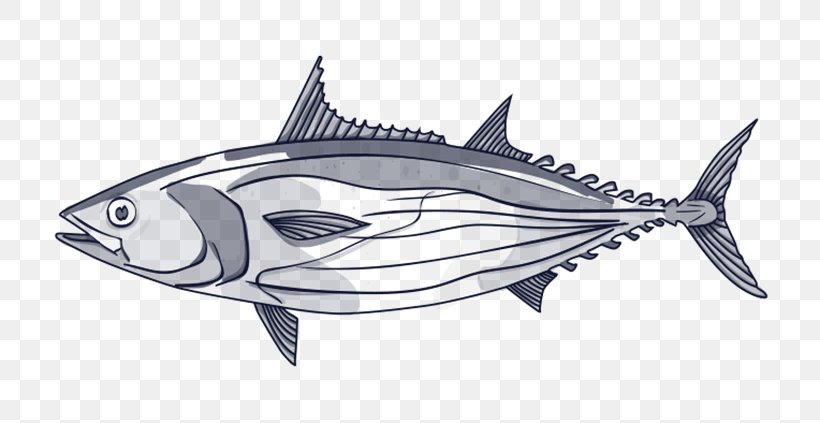 Thunnus Swordfish Line Art Skipjack Tuna, PNG, 732x423px, Thunnus, Artwork, Atlantic Bluefin Tuna, Atlantic Bonito, Bonito Download Free