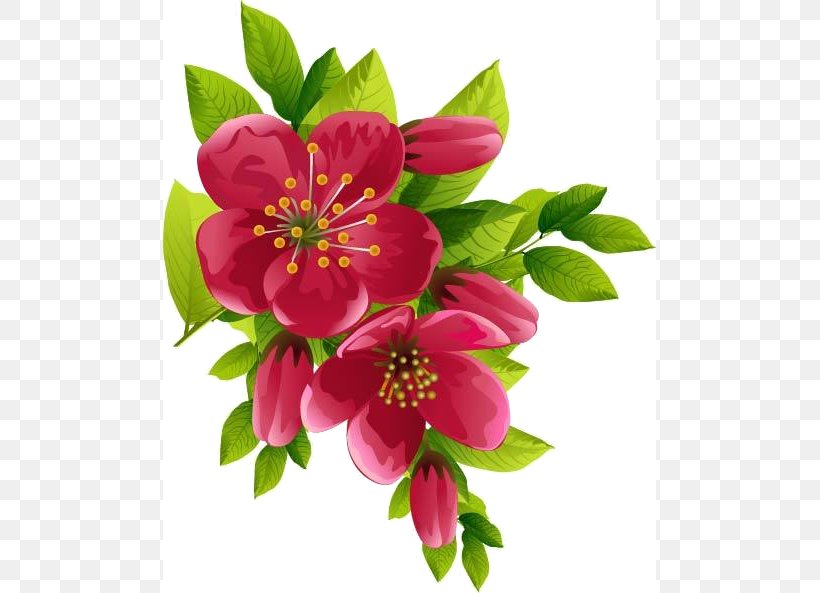 Watercolour Flowers Floral Design Clip Art, PNG, 493x593px, Watercolour Flowers, Alstroemeriaceae, Annual Plant, Blossom, Cut Flowers Download Free