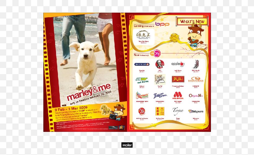 Dog Advertising Kiss Design Pte. Ltd. Portfolio Renminbi, PNG, 580x502px, Dog, Advertising, Biophysical Profile, Brand, Dog Like Mammal Download Free