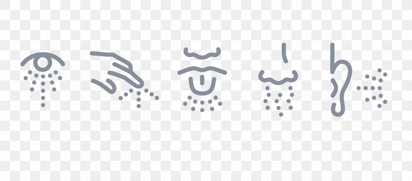 The Five Senses Sensory Nervous System Visual Perception Symbol, PNG, 1250x550px, Five Senses, Black And White, Brain, Brand, Calligraphy Download Free