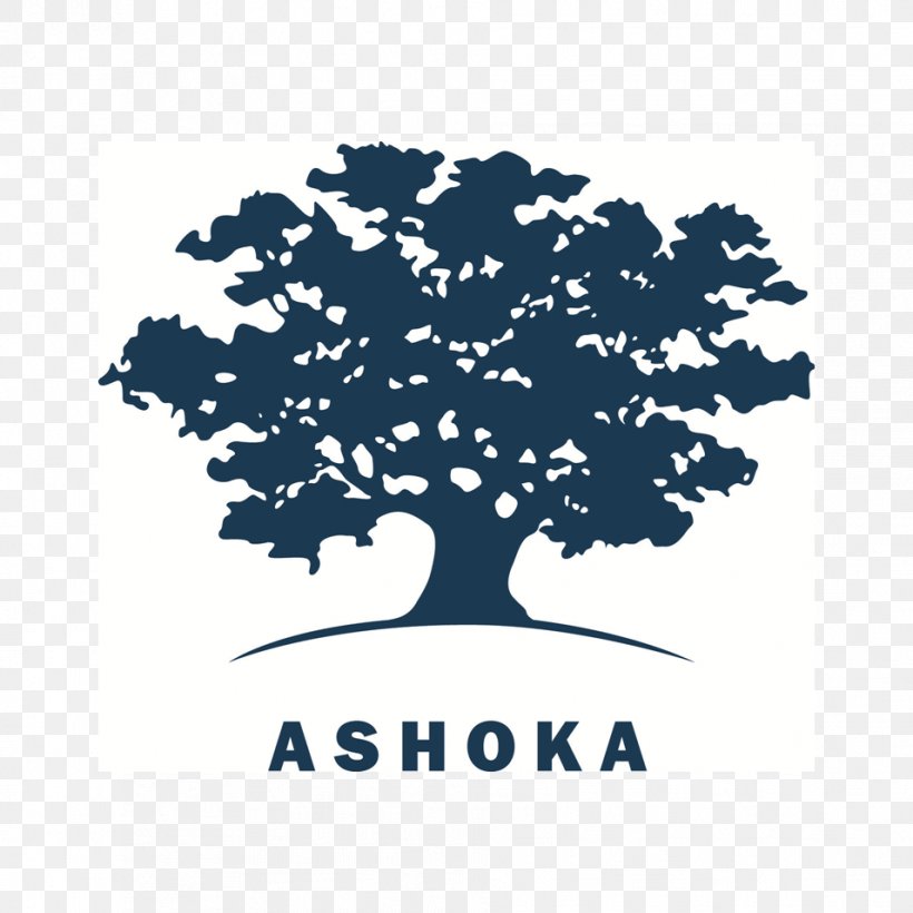 Ashoka: Innovators For The Public Social Entrepreneurship Business Social Innovation, PNG, 956x956px, Ashoka Innovators For The Public, Brand, Business, Entrepreneurship, Innovation Download Free