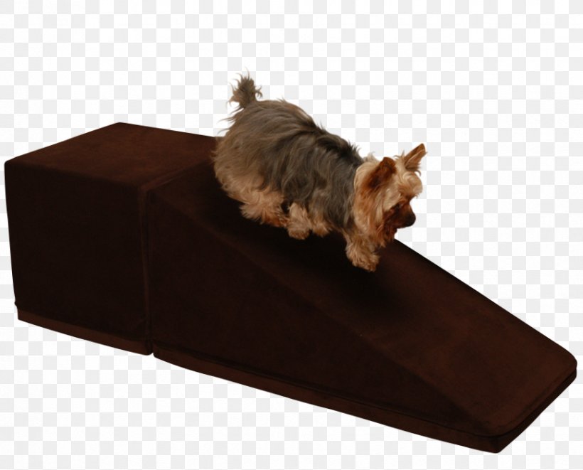 Dog Breed Yorkshire Terrier Pet Inclined Plane Veterinarian, PNG, 868x700px, Dog Breed, Apartment, Bed, Box, Breed Download Free