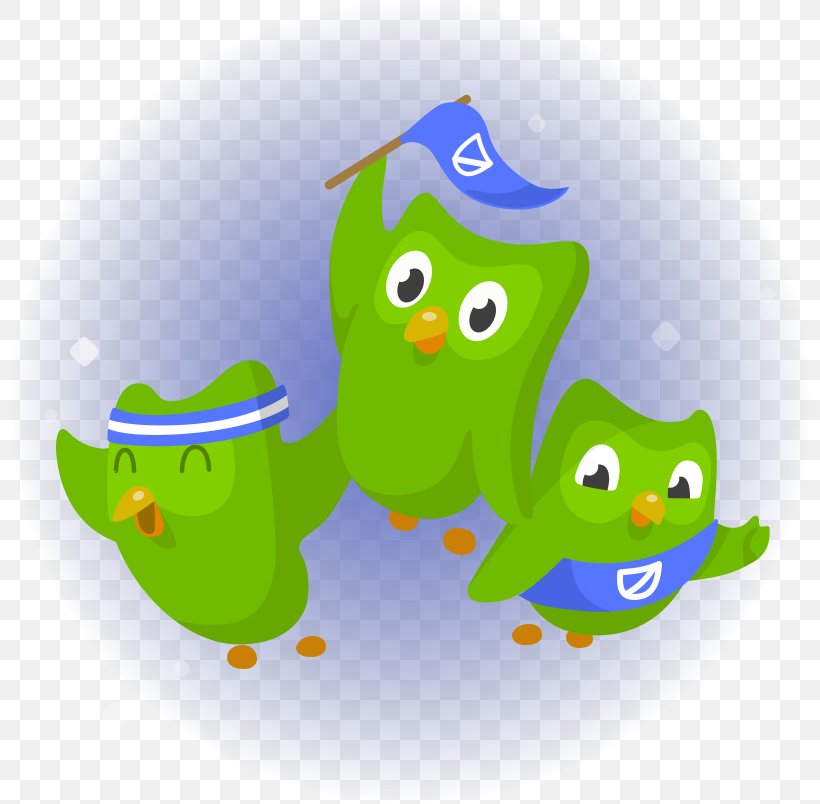 Duolingo Language Acquisition Learning Foreign Language, PNG, 804x804px, Duolingo, Amphibian, Art, Beak, Bird Download Free