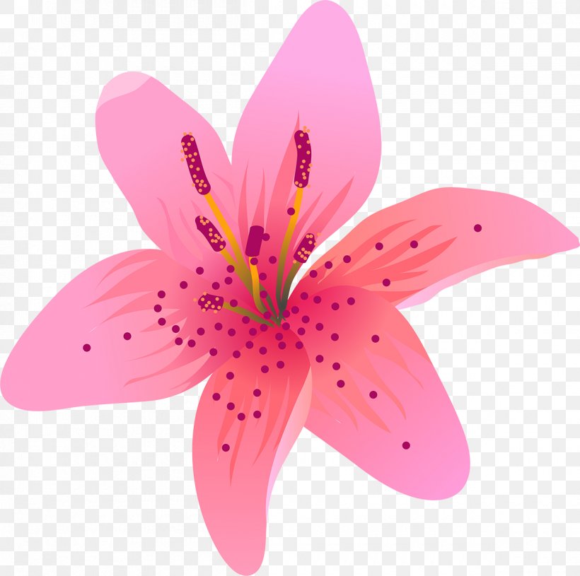 Flowering Plant Lilium Liliaceae Petal, PNG, 1200x1194px, Flower, Closeup, Family, Flowering Plant, Liliaceae Download Free