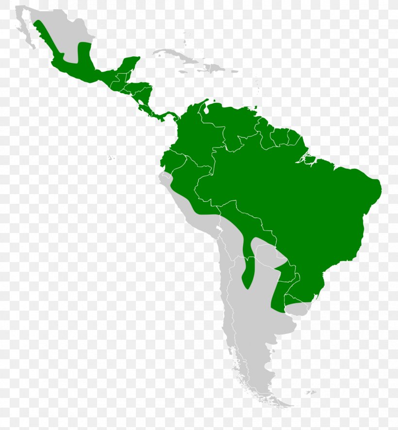 Latin America South America United States Geography Map, PNG, 1200x1297px, Latin America, Americas, Continent, Geography, Grass Download Free