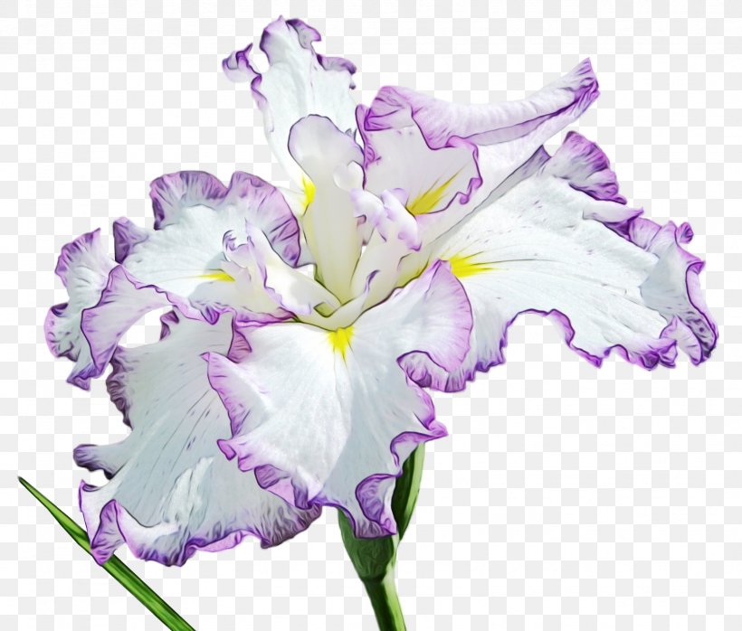 Lavender, PNG, 1614x1374px, Watercolor, Cut Flowers, Flower, Flowering Plant, Iris Download Free