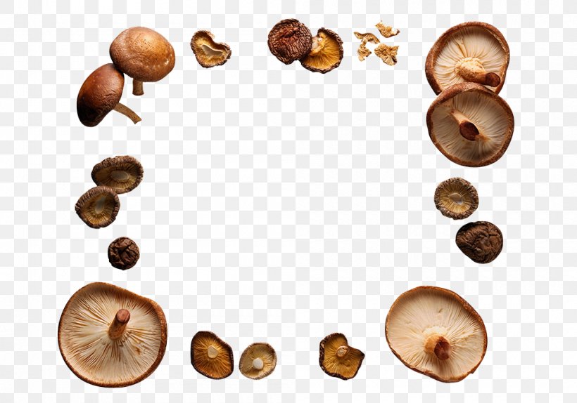 The Worlds Healthiest Foods Mushroom Picture Frame Shiitake, PNG, 1000x700px, Worlds Healthiest Foods, Agaricus, Edible Mushroom, Extract, Food Download Free