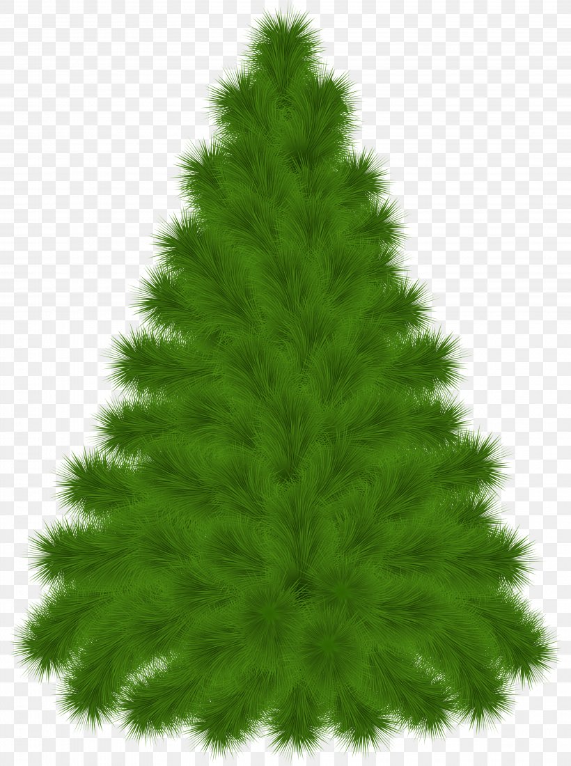 Tree Clip Art, PNG, 3727x5000px, Tree, Art, Biome, Black Pine, Christmas Download Free