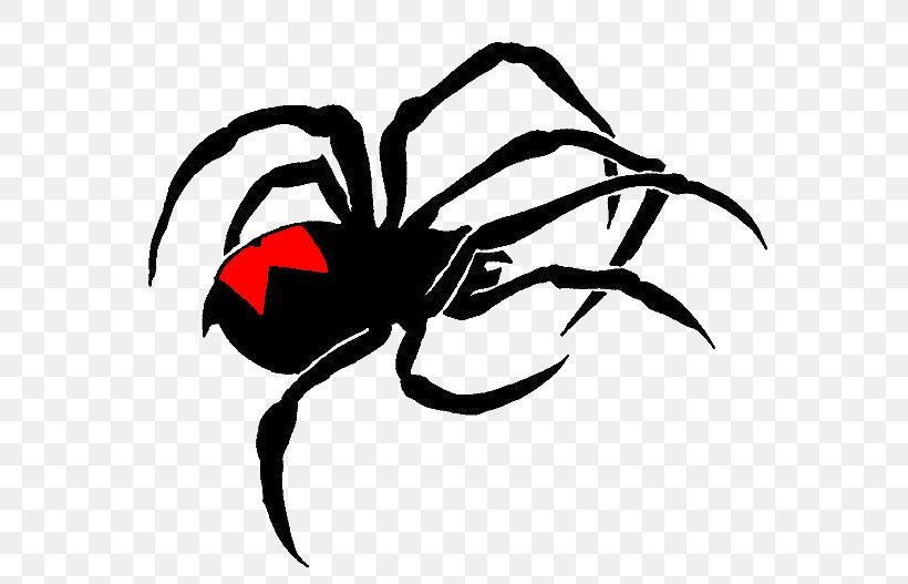 Widow Spiders STX G.1800E.J.M.V.U.NR YN Clip Art, PNG, 600x527px, Widow Spiders, Arachnid, Art, Arthropod, Artwork Download Free
