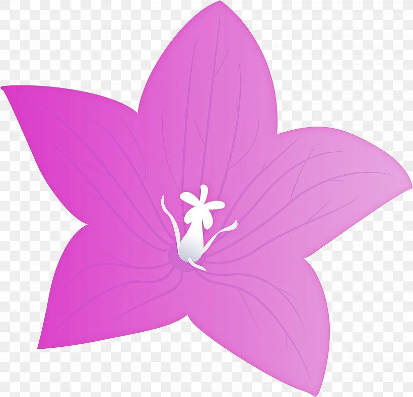 Balloon Flower, PNG, 3000x2892px, Balloon Flower, Flower, Lavender, Petal Download Free
