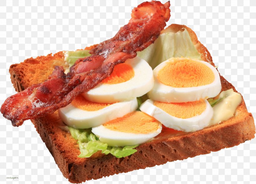 Egg Sandwich Open Sandwich Bacon, Egg And Cheese Sandwich Fried Egg, PNG, 4517x3246px, Egg Sandwich, Bacon, Bacon Egg And Cheese Sandwich, Bacon Sandwich, Bread Download Free