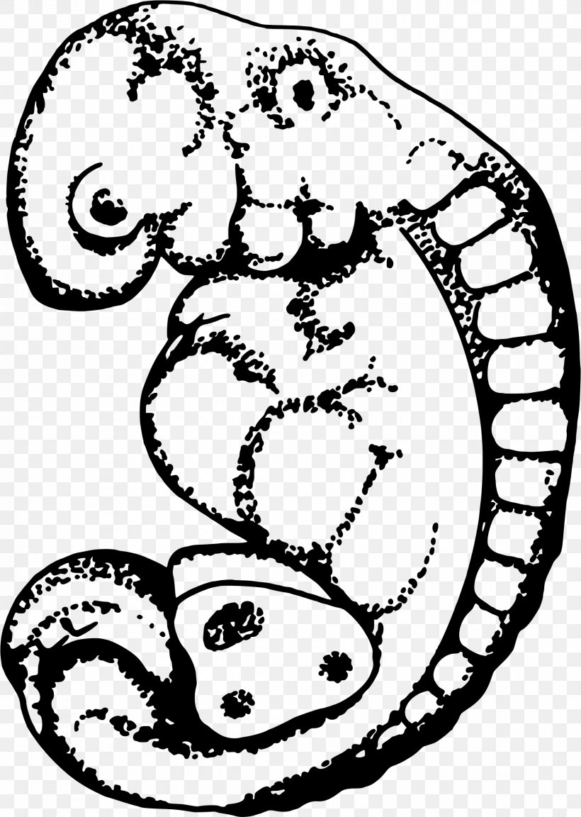 Embryo Drawing Embryo Drawing Clip Art, PNG, 1708x2400px, Embryo, Animal, Area, Art, Artwork Download Free