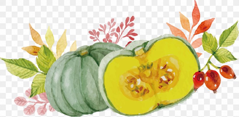 Pumpkin Clip Art, PNG, 2401x1182px, Pumpkin, Apple, Cucumber Gourd And Melon Family, Cucurbita, Designer Download Free