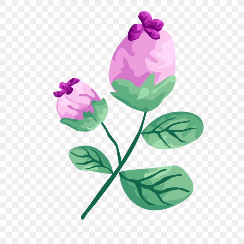 Rose Plant, PNG, 850x850px, Gouache, Cut Flowers, Flora, Flower, Flowering Plant Download Free