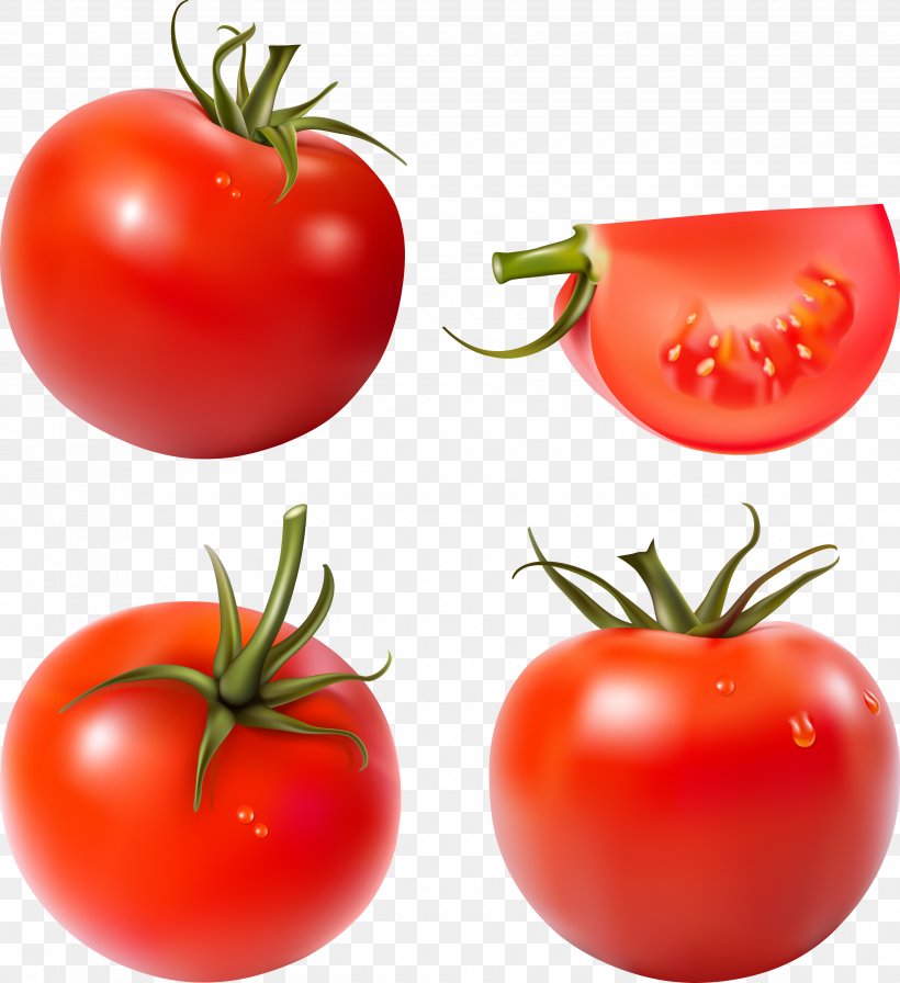 Tomato Juice Salsa Pizza Vegetable, PNG, 3500x3827px, Tomato Juice, Bell Pepper, Bush Tomato, Chili Pepper, Cucumber Download Free