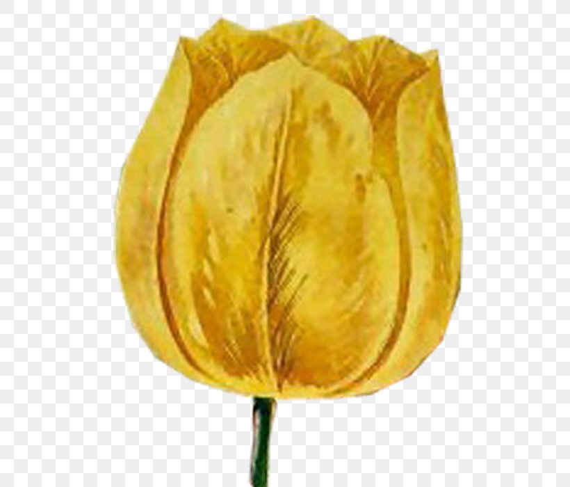 Tulip Petal Plant Stem, PNG, 700x700px, Tulip, Cartoon, Flower, Petal, Plant Download Free