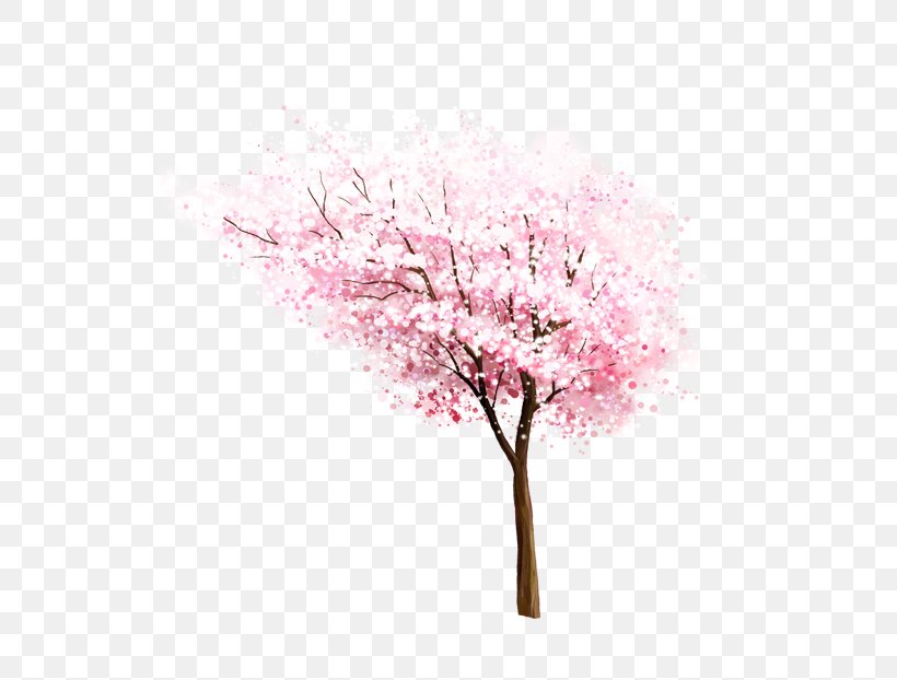 Blossom Clip Art Peach Tree, PNG, 644x622px, Blossom, Branch, Cherries, Cherry Blossom, Flower Download Free