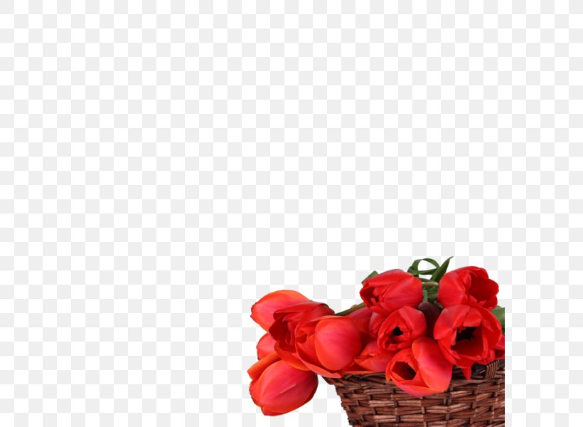 Floral Design Cut Flowers Tulip High-definition Television, PNG, 600x600px, Floral Design, Aspect Ratio, Cut Flowers, Floristry, Flower Download Free