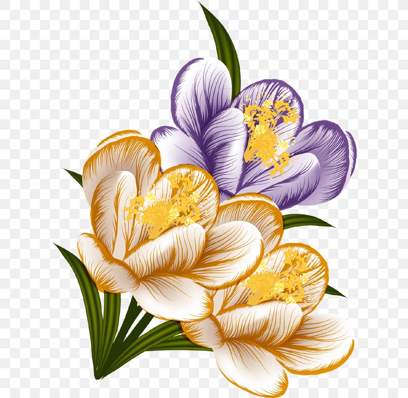 Floral Design Flower Crocus Clip Art, PNG, 614x800px, Floral Design, Art, Crocus, Cut Flowers, Floristry Download Free