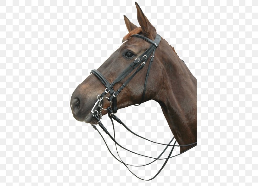 Halter Bridle Horse Rein Noseband, PNG, 432x591px, Halter, Bitless Bridle, Bridle, Equestrian, Horse Download Free