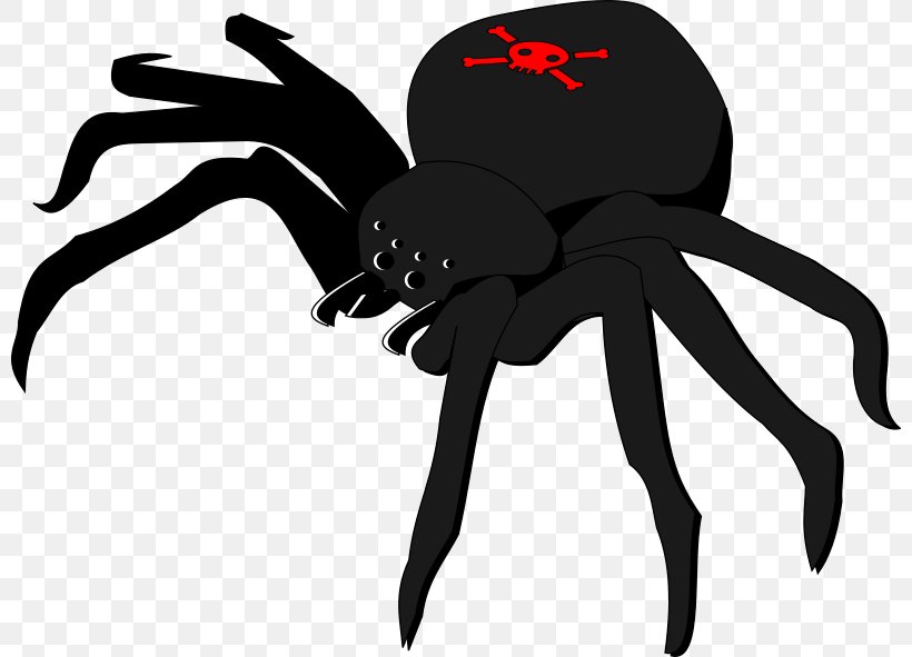 Widow Spiders Skull And Crossbones Clip Art, PNG, 800x591px, Spider, Arachnid, Arthropod, Black Widow, Bone Download Free