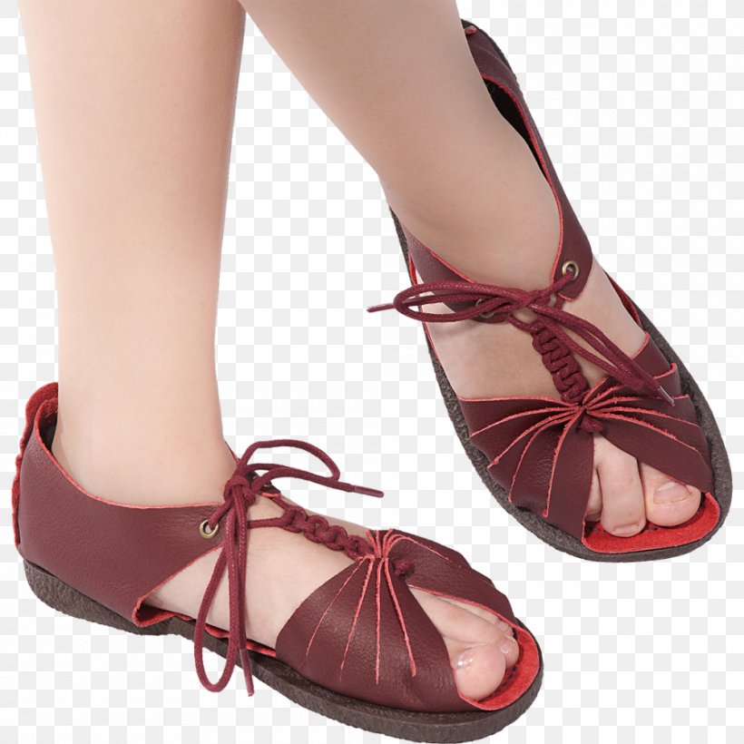 Ballet Flat High-heeled Shoe Sandal, PNG, 1000x1000px, Ballet Flat, Ballet, Footwear, High Heeled Footwear, Highheeled Shoe Download Free
