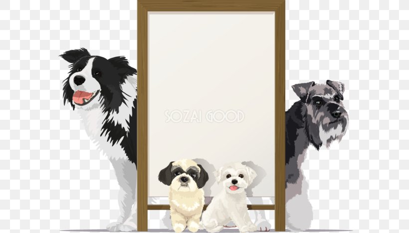 Border Collie Dog Breed Maltese Dog Illustration, PNG, 660x467px, Border Collie, Billboard, Breed, Breed Group Dog, Carnivoran Download Free
