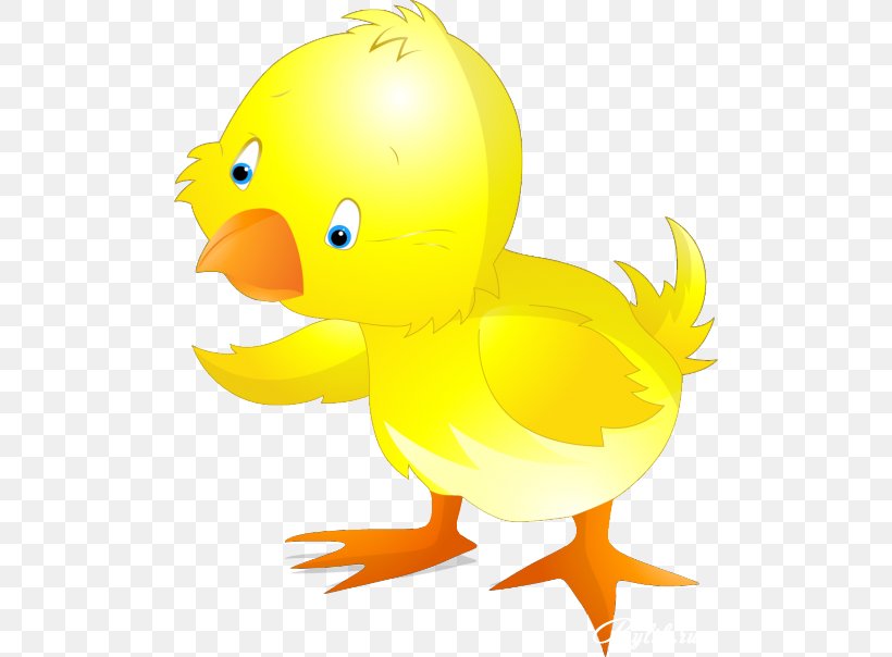 Duck Easter Bunny Clip Art Chicken, PNG, 500x604px, Duck, Beak, Bird, Chicken, Ducks Geese And Swans Download Free