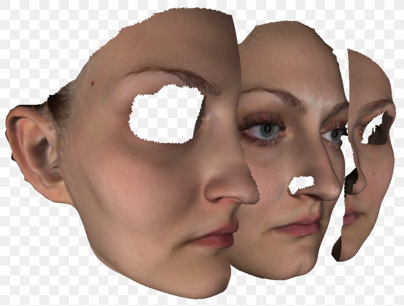 Face Nose Cheek Chin Human Head, PNG, 1028x780px, 3d Computer Graphics, 3d Scanner, Face, Cheek, Chin Download Free