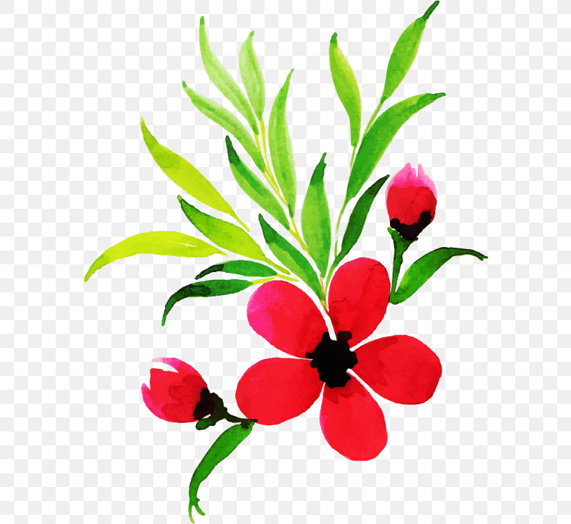 Flower Plant Leaf Petal Plant Stem, PNG, 582x753px, Flower, Impatiens, Leaf, Petal, Plant Download Free