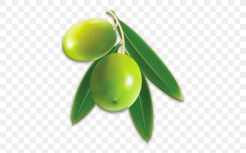 Olive Oil Clip Art Olive Leaf, PNG, 512x512px, Olive, Citrus, Food, Fruit, Image File Formats Download Free