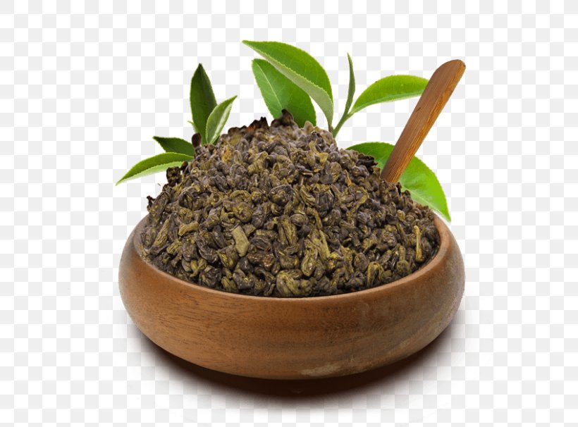 Oolong Nilgiri Tea Green Tea Yogi Tea, PNG, 700x606px, Oolong, Biluochun, Camellia Sinensis, Commodity, Dieting Download Free