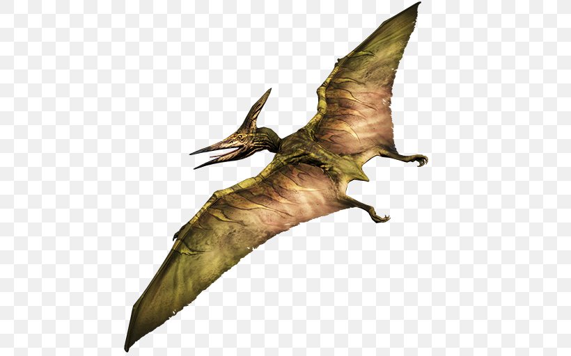 Pteranodon Primal Carnage: Extinction Pterodactyl Dinosaur, PNG, 512x512px, Pteranodon, Archaeopteryx, Beak, Claw, Dinosaur Download Free