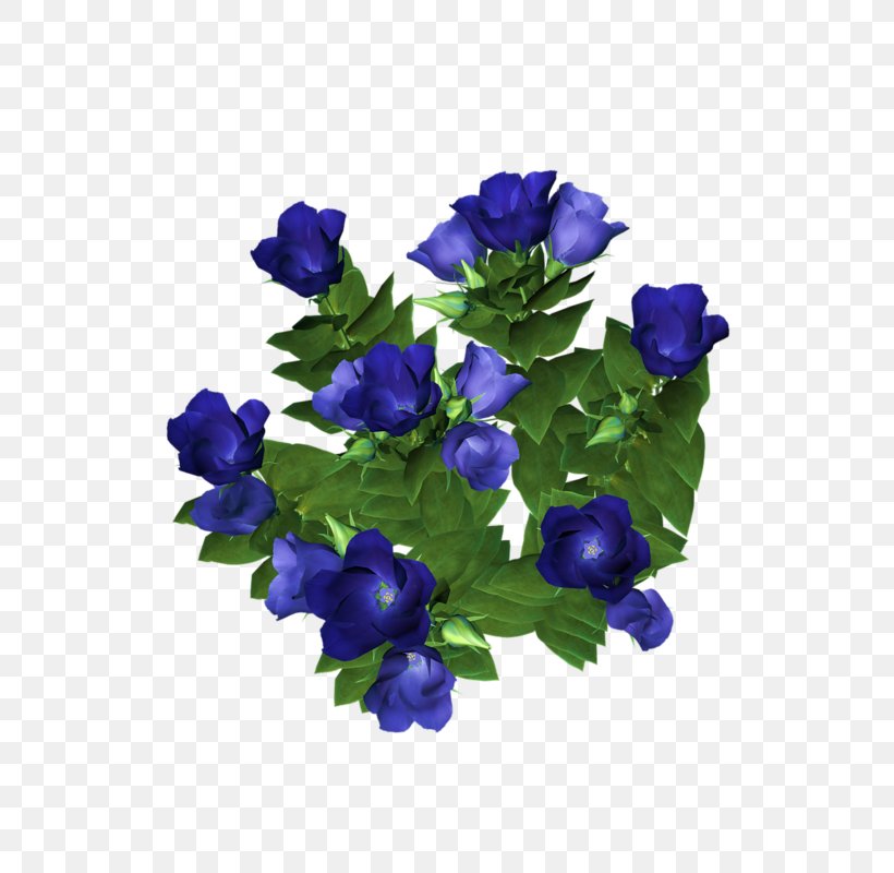Cut Flowers Clip Art, PNG, 800x800px, Flower, Annual Plant, Bellflower, Bellflower Family, Blog Download Free