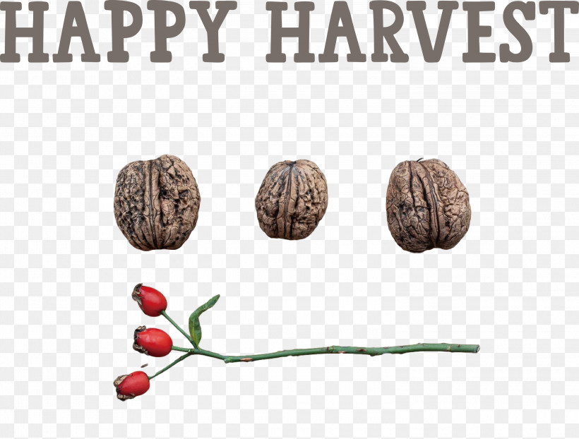 Happy Harvest Harvest Time, PNG, 3000x2279px, Happy Harvest, Harvest Time, Meter, Walnut Download Free