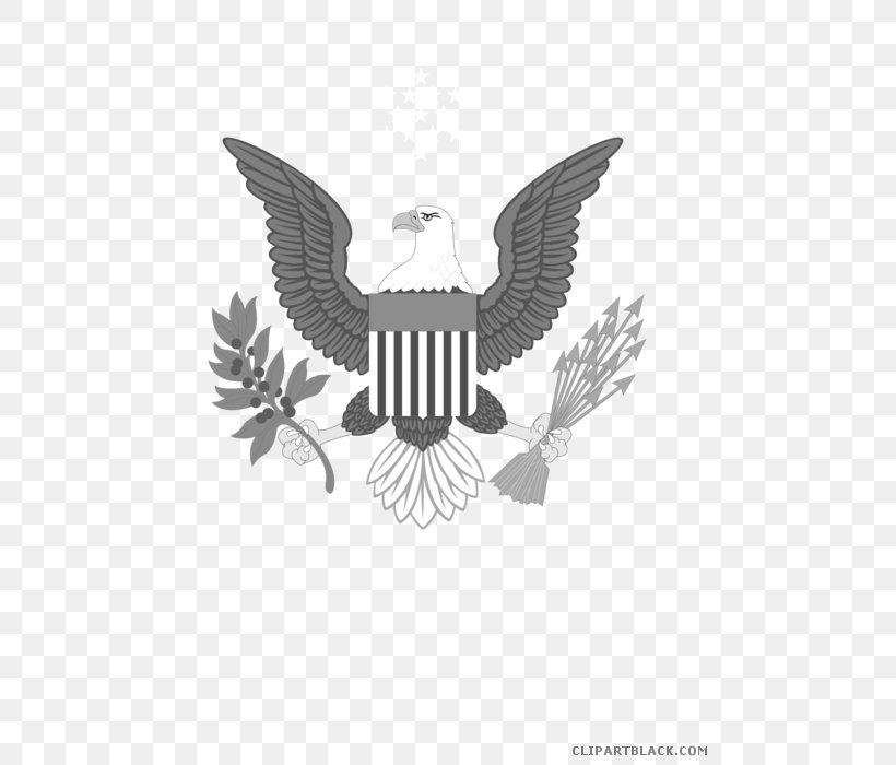 Bald Eagle United States Of America Symbol Vector Graphics Clip Art, PNG, 495x700px, Bald Eagle, Bird, Bird Of Prey, Black And White, Eagle Download Free