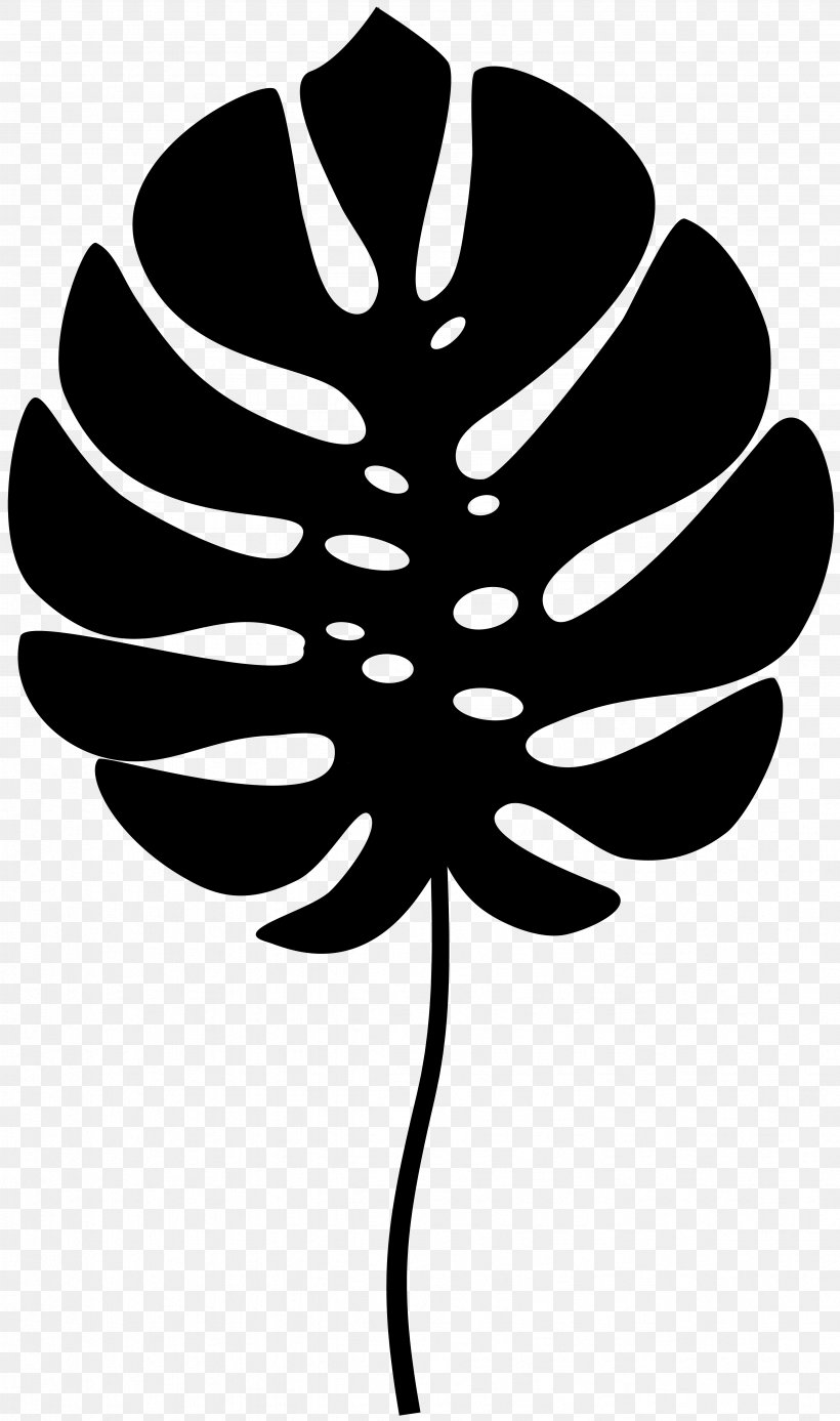 Clip Art Line Leaf Tree Flowering Plant, PNG, 4727x8000px, Leaf, Blackandwhite, Botany, Flower, Flowering Plant Download Free