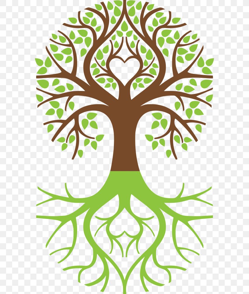 Tree Of Life Symbol Weeping Willow Arborvitae, PNG, 590x967px, Tree, Arborvitae, Artwork, Black And White, Branch Download Free