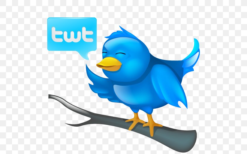 Social Media Blog Clip Art, PNG, 512x512px, Social Media, Beak, Bird, Blog, Fish Download Free