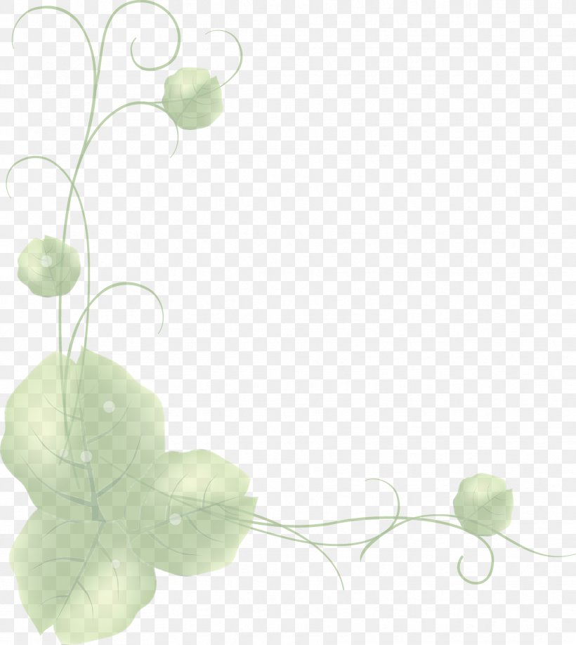 Design Image Green Adobe Photoshop, PNG, 1829x2049px, Green, Branch, Color, Designer, Flora Download Free